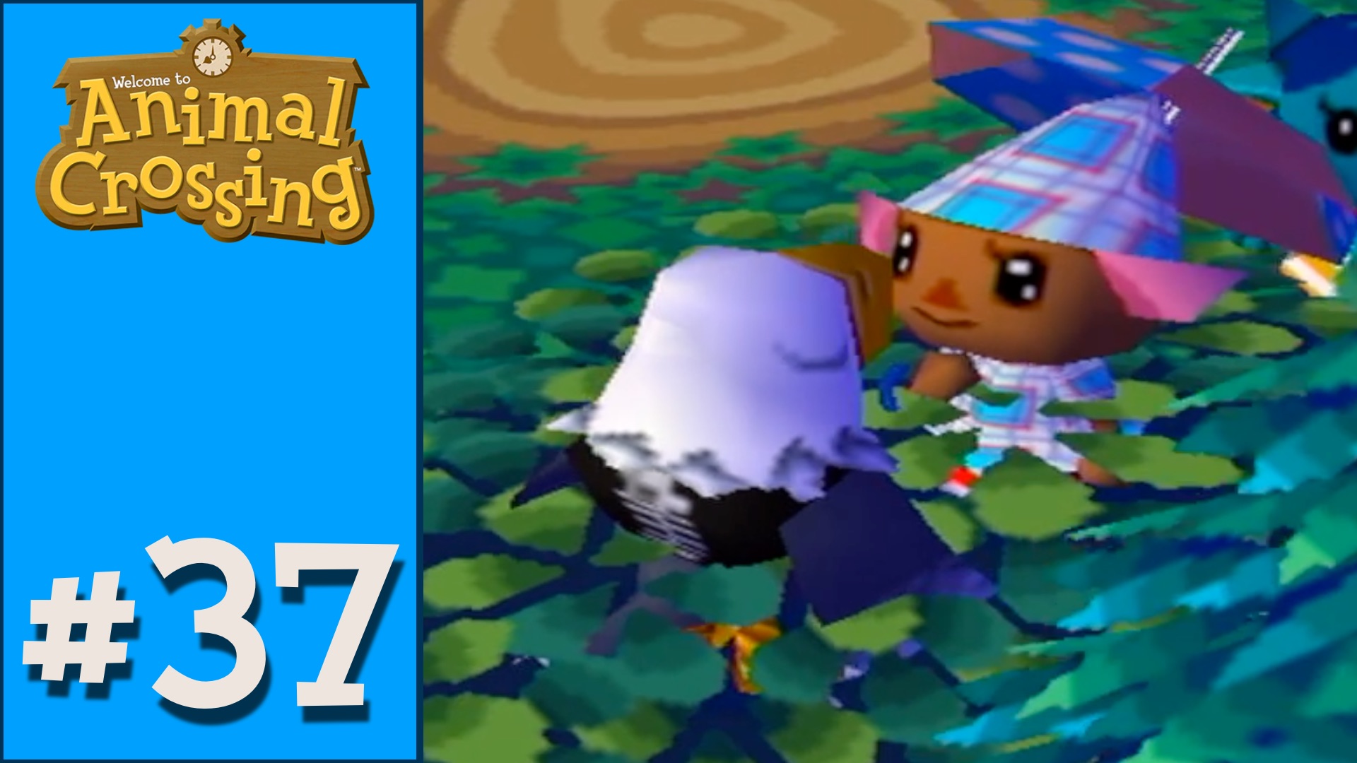 Animal Crossing - Day 37
